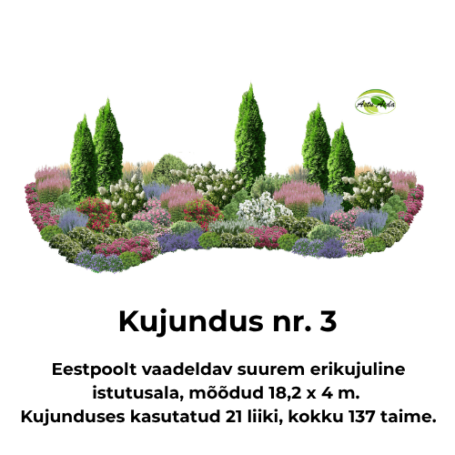 Kujundus nr. 3 – suurem erikujuline istutusala