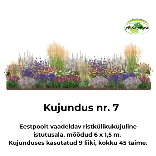 Kujundus nr. 7 – ristkülikukujuline istutusala