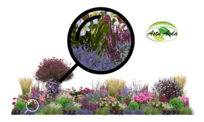 TF kujundus nr. 5 kujunduspilt ZOOM