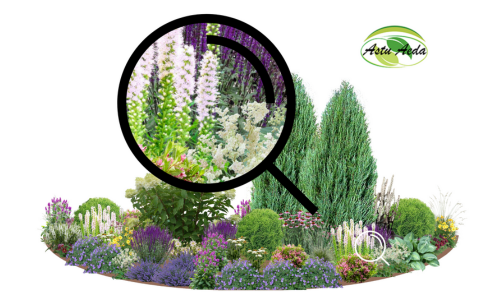 TF TASUTA tootenäidise kujunduspilt 1 külg ZOOM