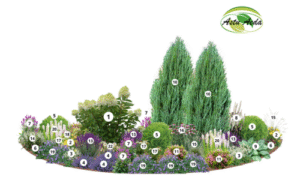 TF TASUTA tootenäidise kujunduspilt 1 külg jrk.nr.