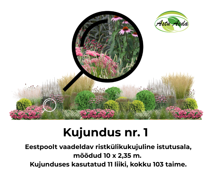 Kujundus nr. 1 – ristküliku kujuline istutusala