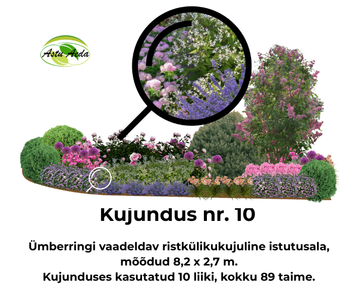 Kujundus nr. 10 – ristküliku kujuline istutusala