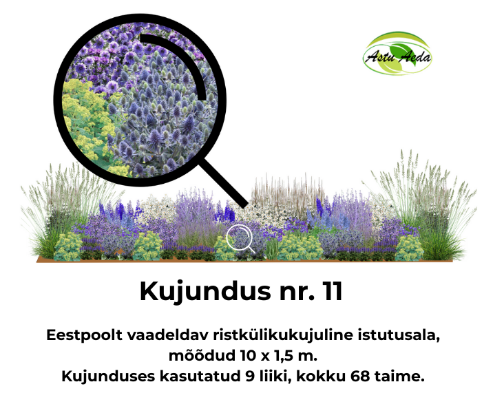 Kujundus nr. 11 – ristküliku kujuline istutusala ‘Taeva peegeldus’