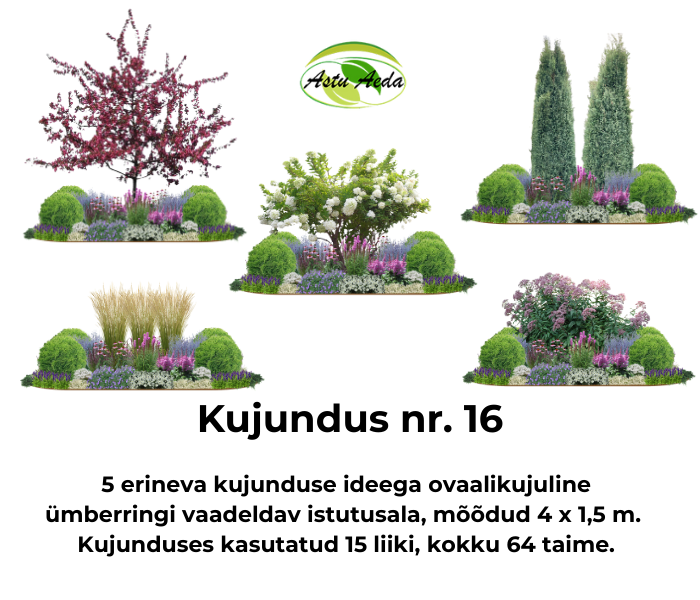Kujundus nr. 16 – ovaali kujuline istutusala 5 kujundusega