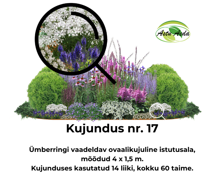 Kujundus nr. 17 – ovaali kujuline istutusala