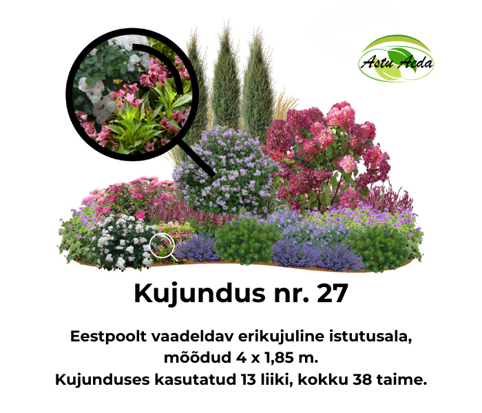 Kujundus nr. 27 – ovaali kujuline istutusala