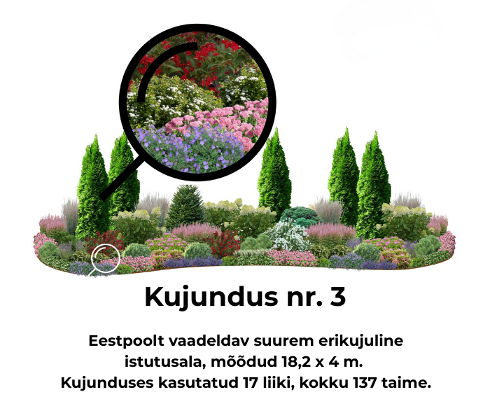Kujundus nr. 3 – suurem erikujuline istutusala