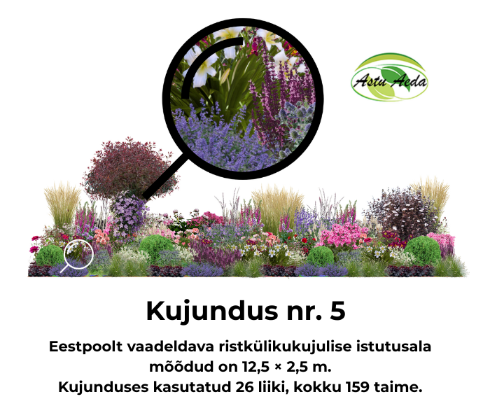 Kujundus nr. 5 – ristküliku kujuline istutusala