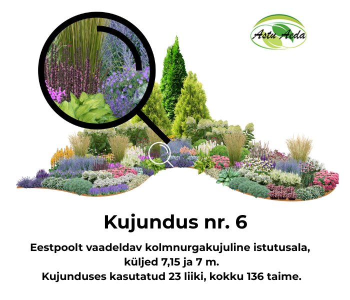 Kujundus nr. 6 – kolmnurga kujuline istutusala