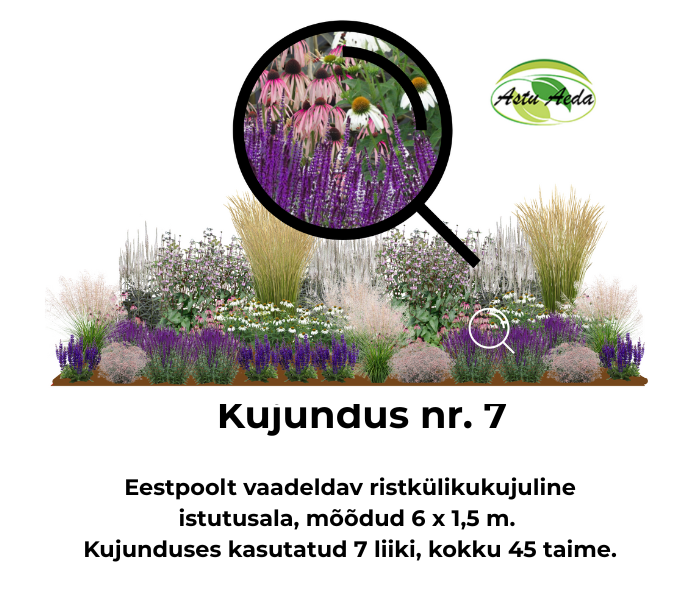 Kujundus nr. 7 – ristküliku kujuline istutusala