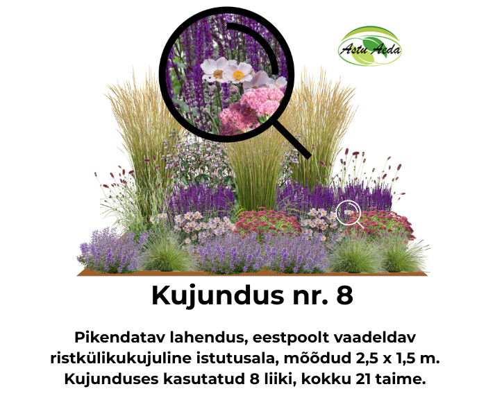 Kujundus nr. 8 – ristküliku kujuline istutusala