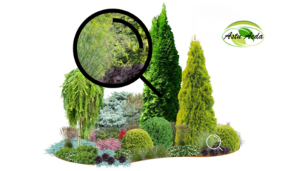 TF Kujundus nr. 12 ZOOM kujunduspilt 1 külg