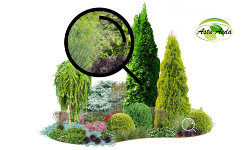 TF Kujundus nr. 12 ZOOM kujunduspilt 1 külg